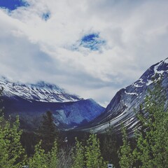 landscape in the mountains