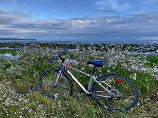 Bicycle in wildflowers on sea shore. Dyke trail in Delta from Mud Bay to Boundary Bay. Tsawwassen. British Columbia. Canada