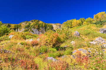 大雪山国立公園高原温泉沼めぐりコースの紅葉