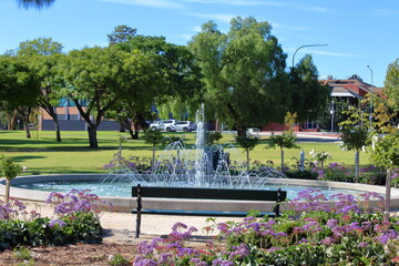 Rymill park in Adelaide 