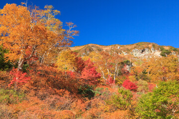 大雪山国立公園高原温泉沼めぐりコースの紅葉