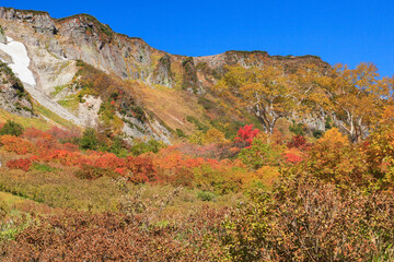 大雪山国立公園高原温泉沼めぐりコースの紅葉