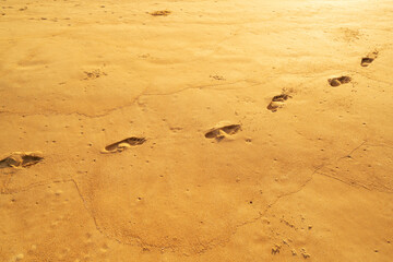 Detail texture of sand Sea sun beach for relax in holiday Sunny summer background with foot print on sand beautiful beach in phuket thailand