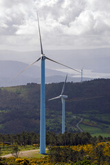 Wind farm on a Galician mountain. Renewable energy