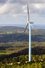 Wind farm with a wind turbine in the foreground