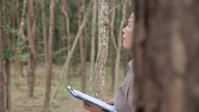 50p frame rate footage of woman researchers are walking into academic records within the forest.
