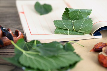 Mulberry leaf