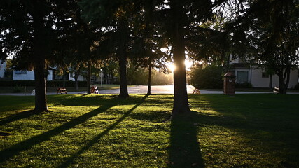 Obraz premium Beautiful sunset in the park