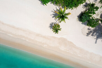 Aerial view top view Beautiful topical beach with white sand coconut palm trees and sea. Top view...
