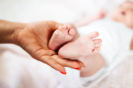 Tiny legs of a newborn baby on a woman's hands close-up. Mom and her baby. The concept of a happy family. A beautiful conceptual image of motherhood