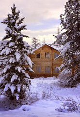 A house in the Aktru valley. A clearing buried in snow in the middle of tall fir trees against the background of the morning sky. Gorny Altai, Siberia, Russia