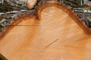 Round cut wood with details