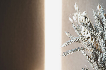 Wheat Bouquet. Trendy dry filed grass. Minimalistic still life of dried spikelets. Modern decor of interior design.