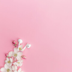 Music lover or fresh music concept on pink background with blossom and earphones