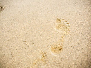 Fototapeta na wymiar Beach sand footprints with copy space.