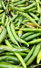 Green chilies on the top in the market
