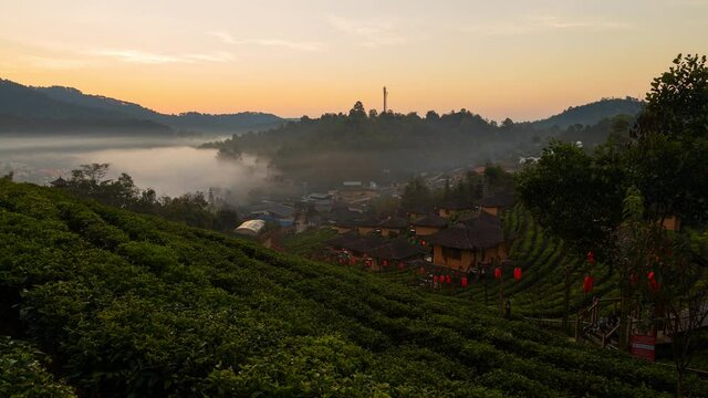 Time lapse Sunrise at Lee wine Rak Thai,Ban Rak Thai a Chinese settlement, Mae Hong Son, Thailand