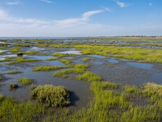 Wetland Conservation Area with blue sky
