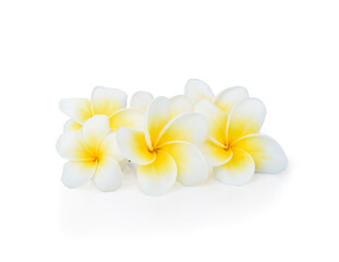 Obraz na płótnie Canvas beautiful white plumeria rubra flower isolated on White background