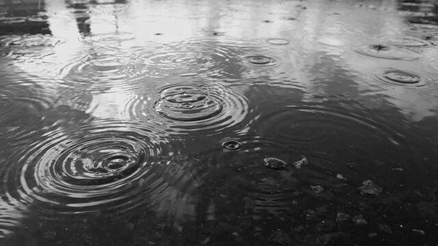Falling rain drops on reflected puddle in slow motion. Water drops.
