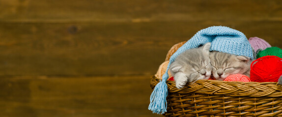 Cute kittens wearing warm hat sleep together inside a basket with clews of thread. Empty space for text
