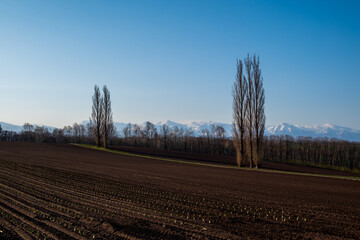 春の美瑛町 赤羽の丘の朝の風景
