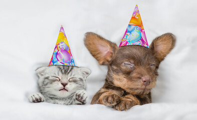 Cute Dachshund puppy and kitten wearing birthday caps sleep together under white warm blanket on a...