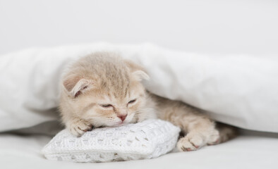 Cute kitten sleeps under blanket on a pillow ona bed at home