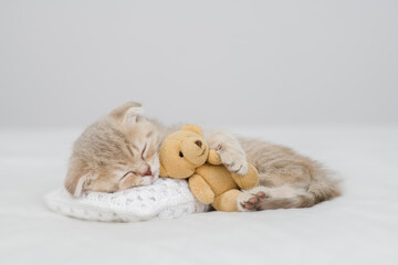 Cute kitten sleeps with toy bear on pillow ona bed at home © Ermolaev Alexandr