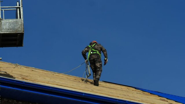 Builder with safety harness and helmet walks holding drill along renewing roof against blue sky on sunny day backside view