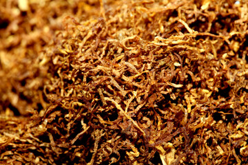 Rolling tobacco leaves close up background stock photography high quality big size print