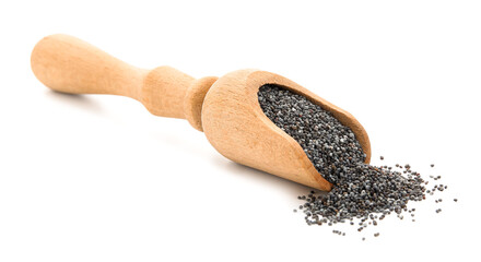 Scoop with poppy seeds on white background