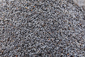 Texture of poppy seeds as background