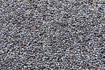 Texture of poppy seeds as background
