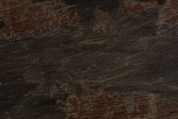 Abstract bark texture. Wooden grain background.