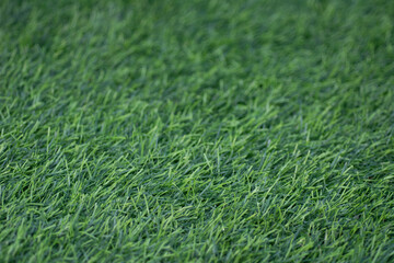 Green artificial grass selective focus background.
