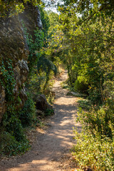 Obraz premium Footpath among trees and ruins of the ancient city of Termessos without tourists near Antalya, Turkey