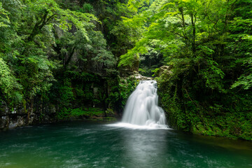 三重県名張市の赤目四十八滝 五瀑「千手滝」