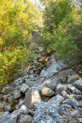 Footpath among trees and ruins of the ancient city of Termessos without tourists near Antalya, Turkey
