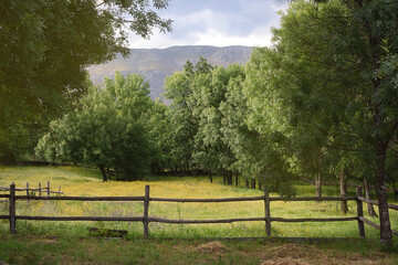 Rural landscape of farm in the nature in spring with wooden fence