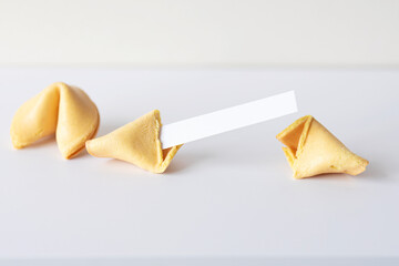 Asian Chinese fortune cookies with blank paper for the text on white table