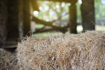 Natural texture with straw bale on farm and blurred background