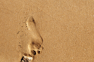 a human footsteps on a sandy beach