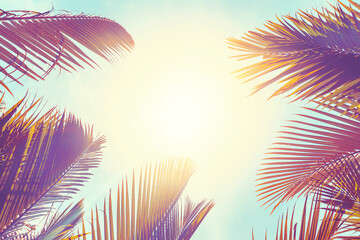 Fototapeta na wymiar Tropical palm tree with sun light on sunset sky and cloud abstract background.