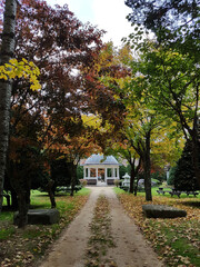 autumn