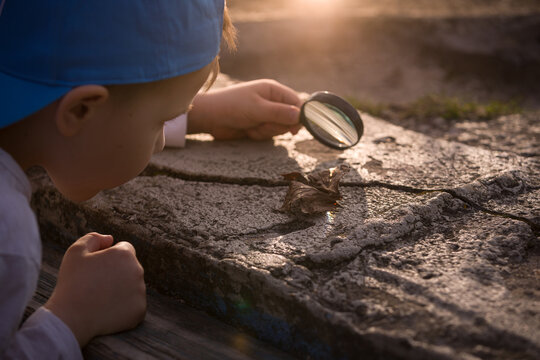 Adorable boy makes a fire with a magnifying glass outdoors on a sunny day. The child studies the nature of fire under the supervision of his father. Young explorer with a lens. Education concept