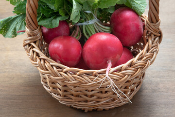radishes in a wicker basket. DIY decorative basket. Fresh produce from the farm.