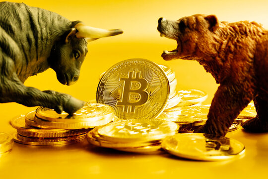 Bear and bull fighting over bitcoins against golden background.