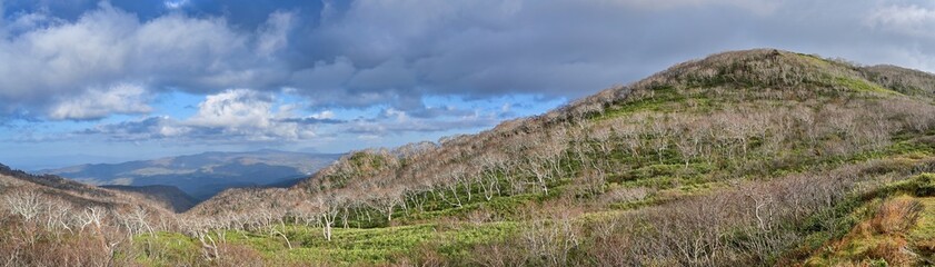 オロフレ峠で見た晩秋の落葉した木々のパノラマ情景＠北海道