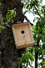 Nesting box made of unpainted wood on a tree